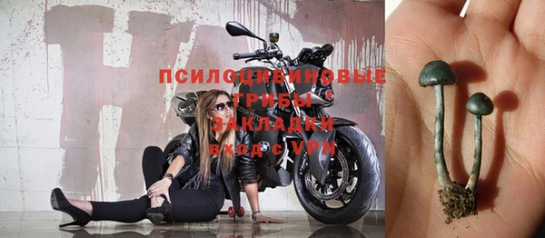 МДПВ Алзамай