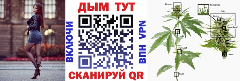 Бошки Шишки VHQ  Обнинск 